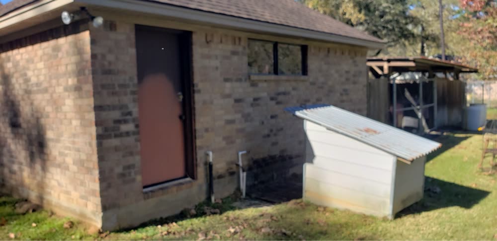 Shed exterior before soft washing — dirty